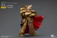 JOYTOY Imperial Fists  Rogal Dorn, Primarch of the Vll th Legion - Warhammer 40K - photo 13