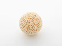 Syuto Seiko Sesame Ball Plastic Model - Scale Kits - photo 3