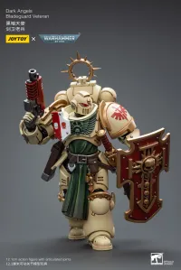 JOYTOY Dark Angels Bladeguard Veteran - Warhammer 40K - photo 8