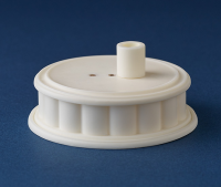 Harmonia Series Torso Display(re-run) 4