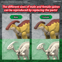 PLANNOSAURUS Parasaurolophus 3