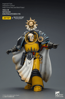Imperial Fists Librarian Consul with Force Axe and Bolt Pistol 9