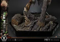 Prime 1 Studio Museum Masterline Prey Feral Predator Deluxe Version - Live Action Movies/TV - photo 23