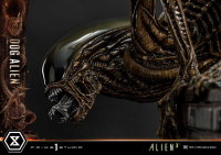Museum Masterline XL Alien 3 (Film) Dog Alien			 49