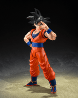 SON GOKU <THE KIND-HEARTED SAIYAN> "DRAGON BALL Z" 1