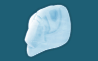 Silicone Tray - 10th Angel 4