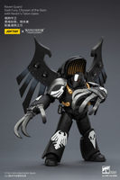 Raven Guard Dark Fury, Chooser of the Slain with Raven's Talon claws 18