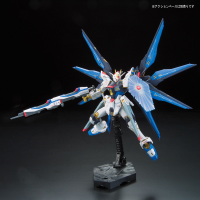 RG 1/144 #14 ZGMF-X20A STRIKE FREEDOM GUNDAM 9