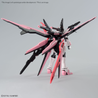 HG 1/144 GUNDAM PERFECT STRIKE FREEDOM ROUGE 9