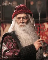 Queen Studios INART - Harry Potter and the Chamber of Secrets - Albus Dumbledore 1/6 Collectible Figure Deluxe Version - Harry Potter - photo 10