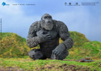 Exquisite Basic Series GODXILLA x KONG THE NEW EMPIRE Kong 26