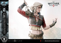 Premium Masterline The Witcher 3: Wild Hunt Ciri Fiona Elen Riannon Alternative Outfit DX Bonus Version 5