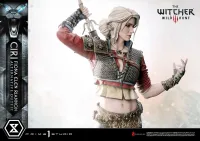 Prime 1 Studio Premium Masterline The Witcher 3: Wild Hunt Ciri Fiona Elen Riannon Alternative Outfit DX Bonus Version - Video Games - photo 5