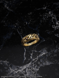 Statue and ring style: Ken Ryuguji・yRing size (Japanese sizes): 17 ・z 15