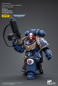 Ultramarines Intercessor Veteran Sergeant Brother Aeontas 5