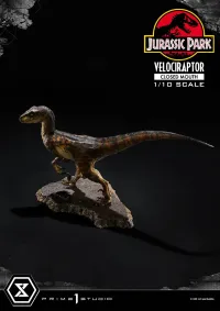 Prime 1 Studio Prime Collectible Figures  Jurassic Park (Film)  Velociraptor  Closed Mouth - Jurassic Park - photo 5