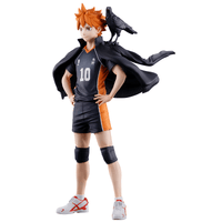 Shoyo Hinata (The Future of Karasuno) 6