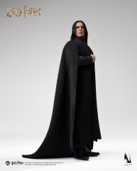 Harry Potter and the Half-Blood Prince - Severus Snape 1/6 Collectible Figure 10