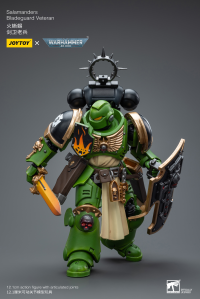 Salamanders Bladeguard Veteran 8