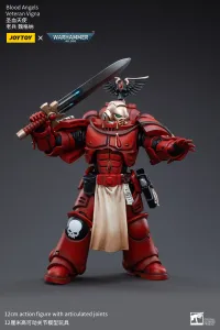 JOYTOY Blood Angels Veteran Vigna - Warhammer 40K - photo 1