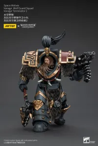JOYTOY Space Wolves Varagyr Wolf Guard Squad Varagyr Terminator 2 - Warhammer 40K - photo 3