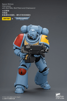 Space Wolves Intercessor with Bolt Rifle, Bolt Pistol and Chainsword 20
