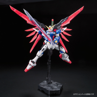 RG 1/144 #11 Destiny Gundam 10