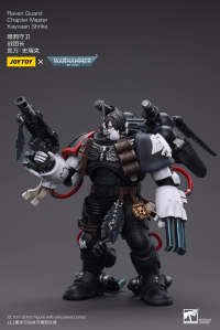 Raven Guard Chapter Master Kayvaan Shrike 3