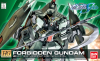 HG 1/144 R09 Forbidden Gundam 1
