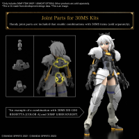 30MF ITEM SHOP 1 (KNIGHT OPTION) 3