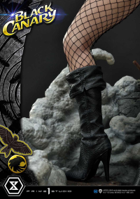 Museum Masterline DC Comics Black Canary 5
