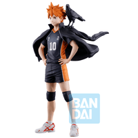 Shoyo Hinata (The Future of Karasuno) 2