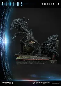 Prime 1 Studio Premium Masterline Aliens (Comics) Warrior Alien DX Bonus Version - Alien (Movie Franchise) - photo 70