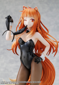 Spice and Wolf: MERCHANT MEETS THE WISE WOLF Holo Light Novel bunny ver. illustration by Jyuu Ayakura 6