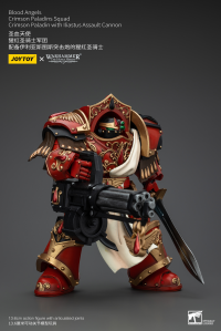 Blood Angels Crimson Paladins Squad Crimson Paladin with Iliastus Assault Cannon 8
