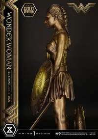 Prime 1 Studio Museum Masterline Wonder Woman (Film) Wonder Woman Training Costume Gold Version - DC Comics - photo 21