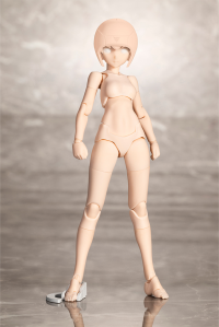 B1R-M CHASSIS KIT SKIN COLOR A 3