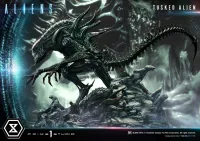 Prime 1 Studio Premium Masterline Aliens (Comics) Tusked Alien Bonus Version - Alien (Movie Franchise) - photo 48