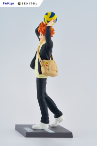 TENITOL HINATA SHOYO 9