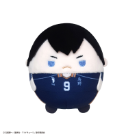 Haikyu!! FUWA KORORIN 7