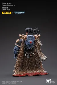 JOYTOY Space Wolves Ragnar Blackmane - Warhammer 40K - photo 2