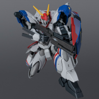 RIOBOT Metal Armor Dragonar Dragonar 1 Custom 13