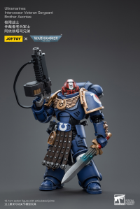 Ultramarines Intercessor Veteran Sergeant Brother Aeontas 1