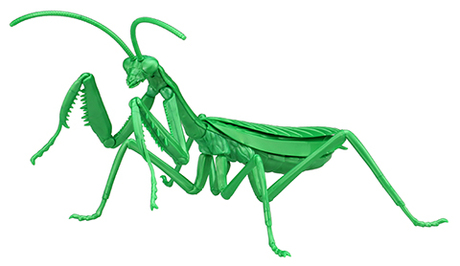 [FI No.23 EX-3]  Biology Edition Big Mantis (metallic green)