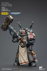 JOYTOY Grey Knights Interceptor Squad Interceptor Justicar - Warhammer 40K - photo 6