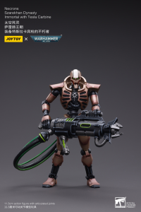 Necrons Szarekhan Dynasty lmmortal with Tesla Carbine [2PCS] 2