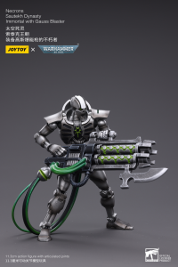WH40K-Necrons Sautekh Dynasty Immortal with Gauss Blaster 7