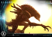 Prime 1 Studio Premium Masterline Aliens (Comics) Tusked Alien Bonus Version - Alien (Movie Franchise) - photo 46