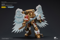 Blood Angels Sanguinary Guard with Encarmine Sword 1 6