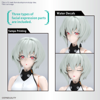 Figure-rise Standard NOIR 3